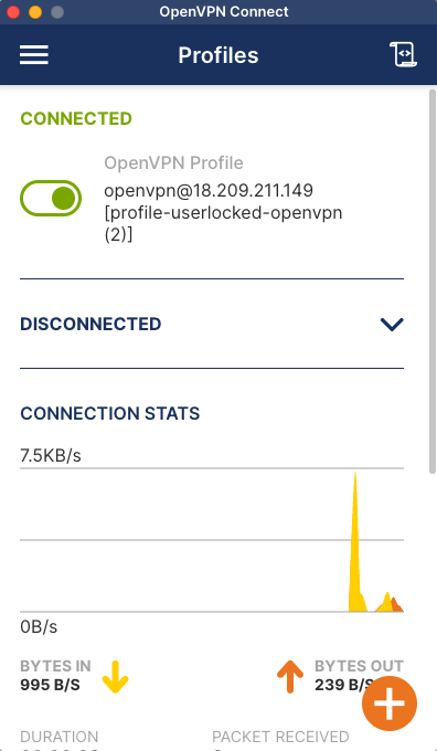 Connexió al servidor VPN